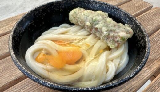 食べるために並ぶ価値あり。香川県三豊市「須崎食料品店」で味わう至高の讃岐うどん体験記