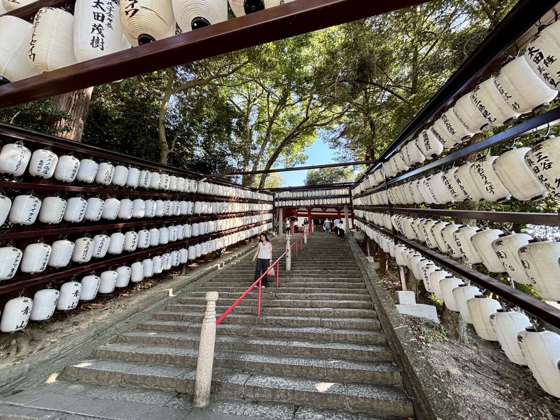 ズラリと並ぶ奉納提灯の石段