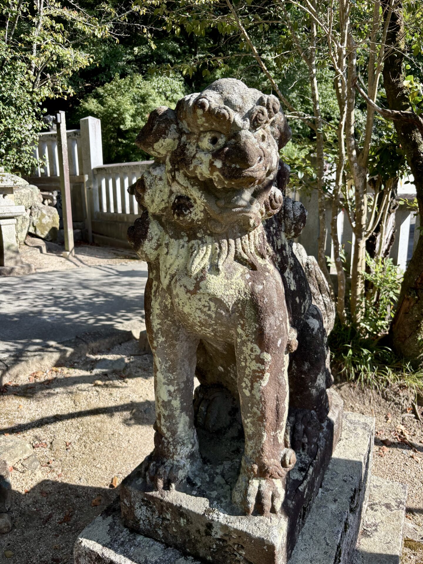 どっしり構える狛犬