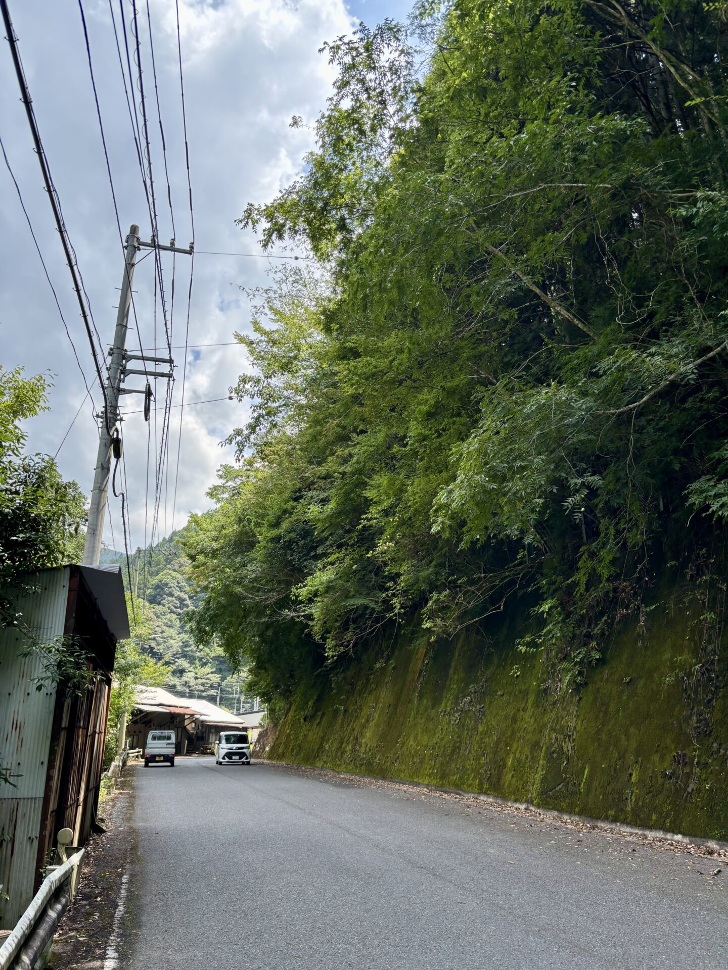道路の様子