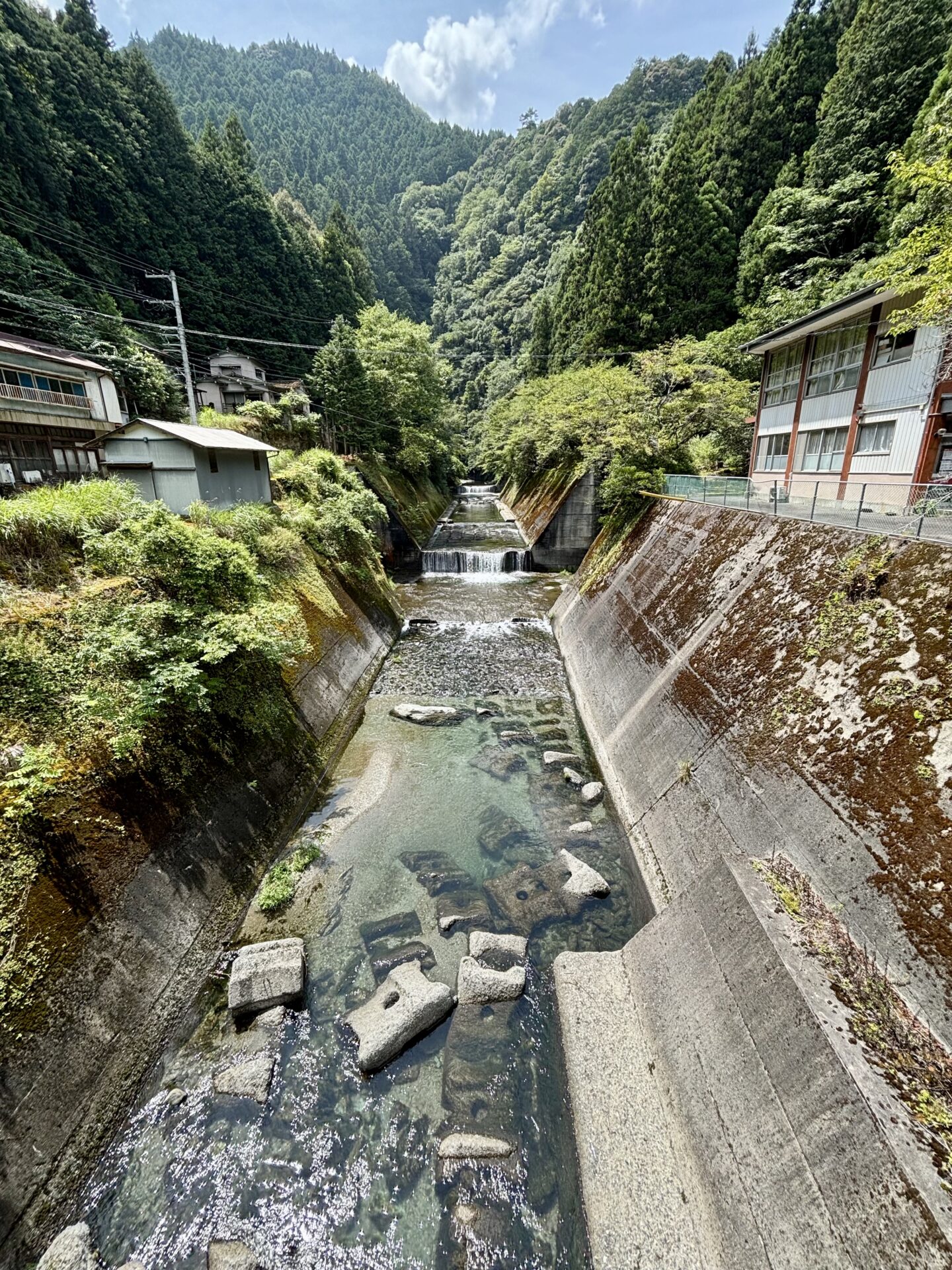 田野内谷川上流