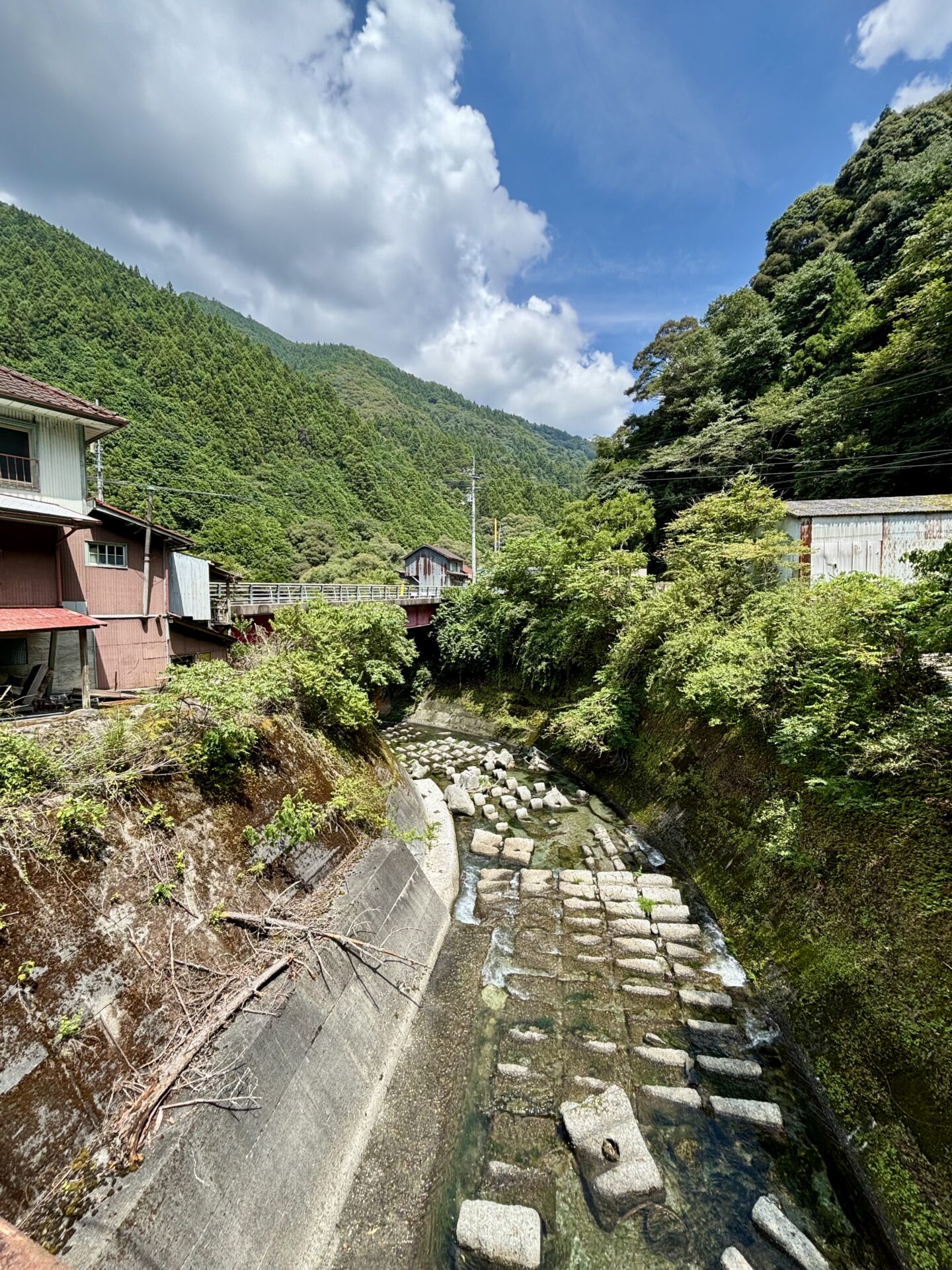 田野内谷川下流