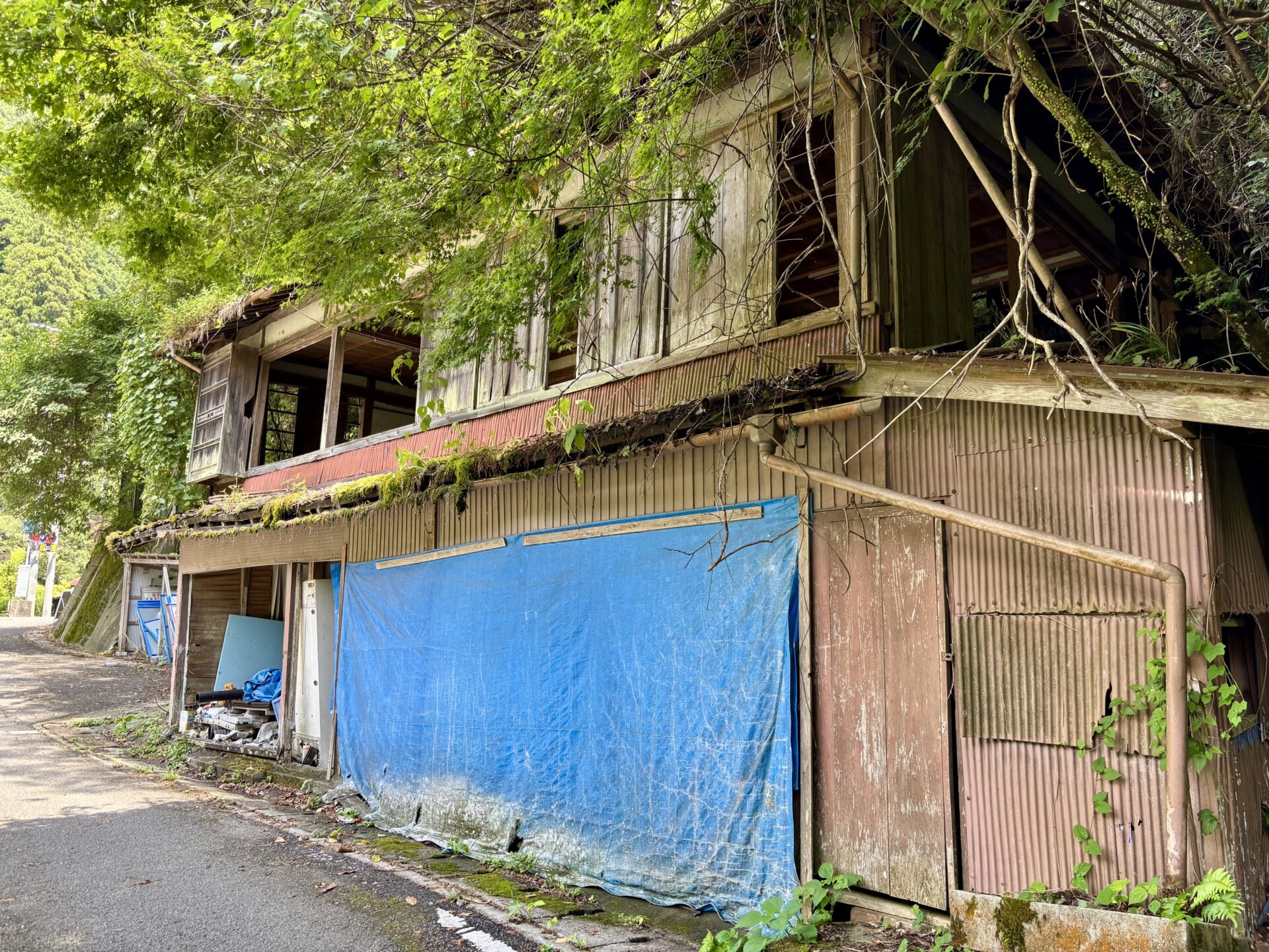橋の向こうの廃墟