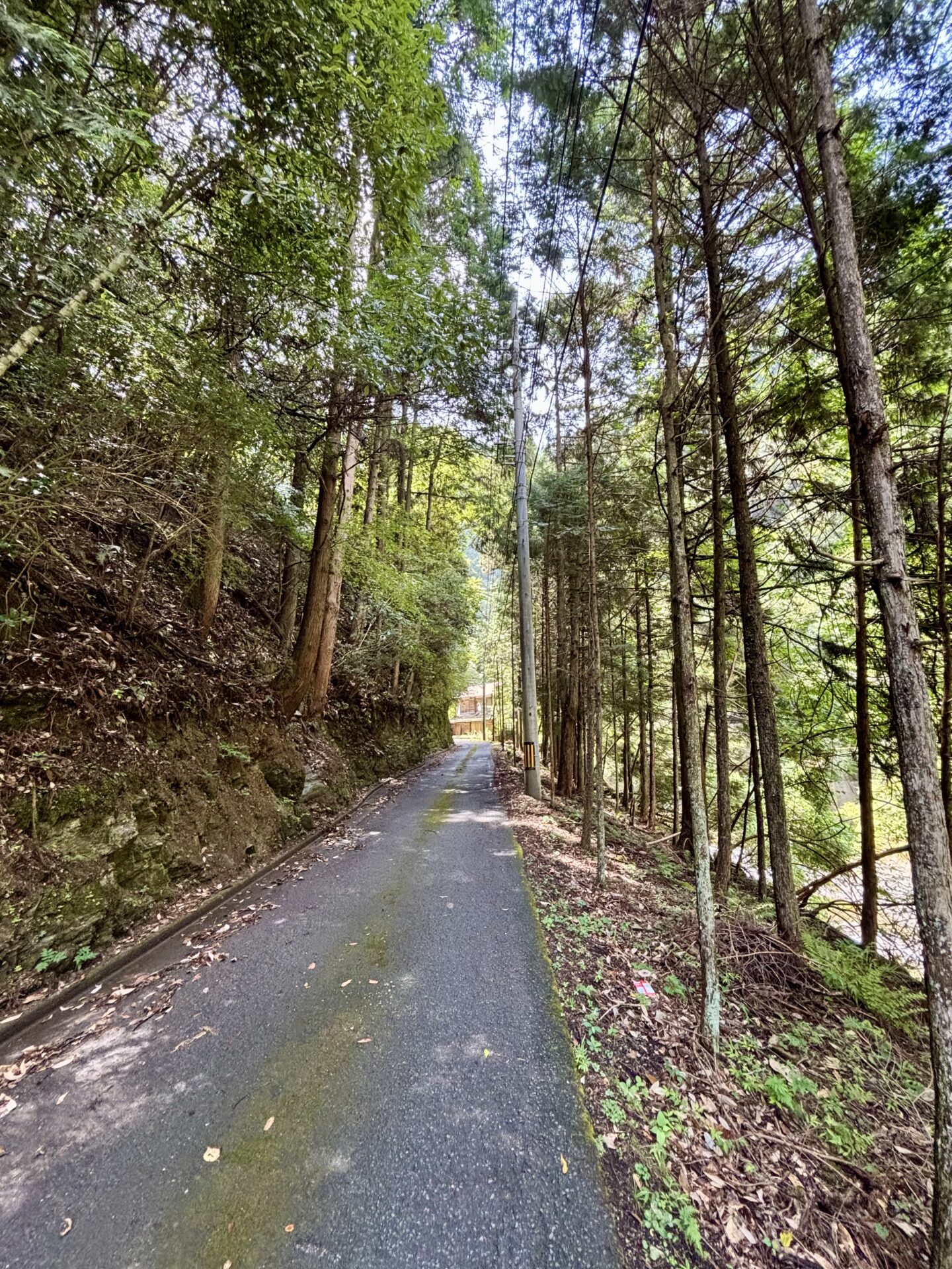 山道林道