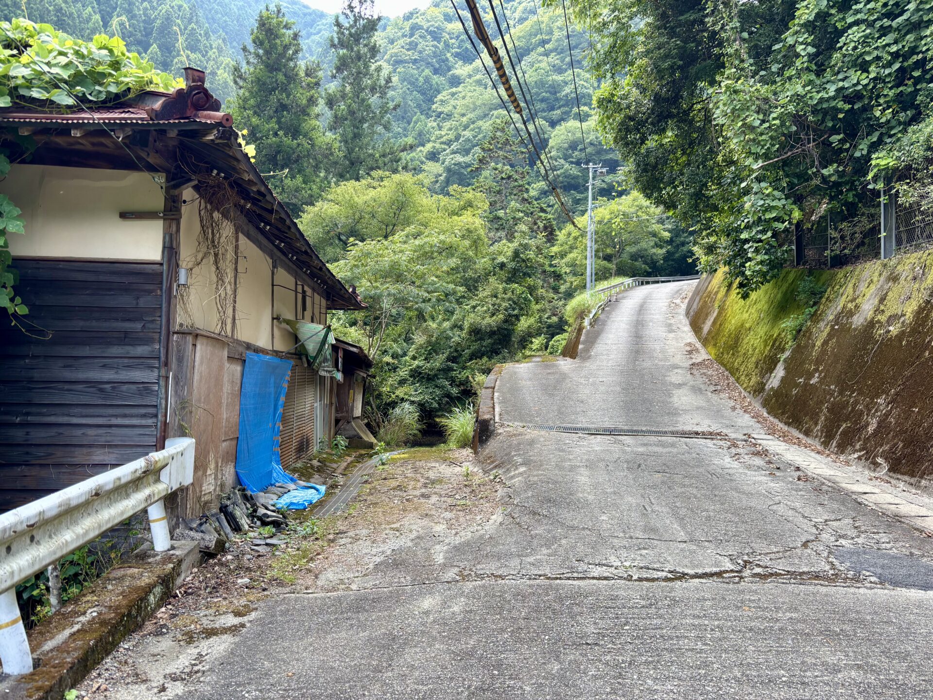 運命の三叉路