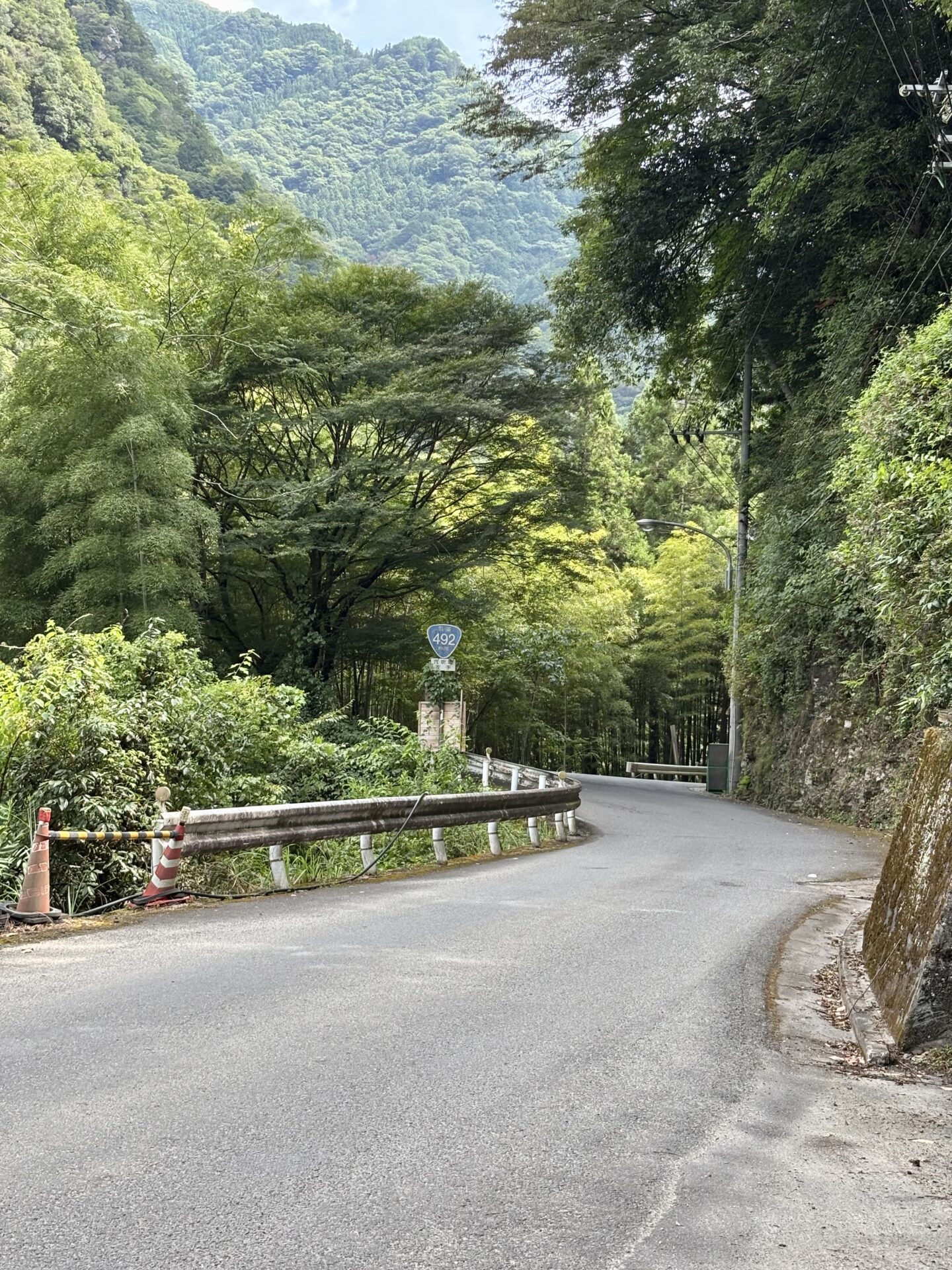 国道492号の山道