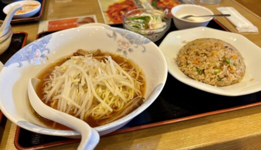 【高松中華めぐり】ドンドン餃子育ちの庶民舌が本場中華に挑む！『再来』の香川県1位チャーハンと本場スタッフの神対応に感動した話