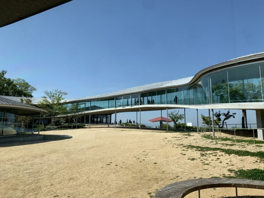 中庭全体の風景