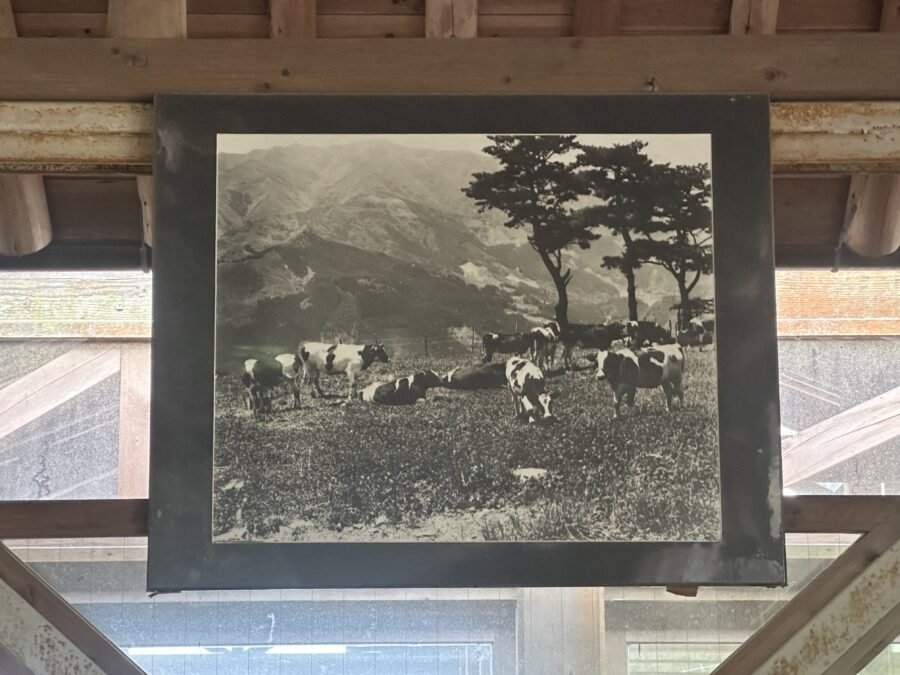 牧場時代の翠波高原