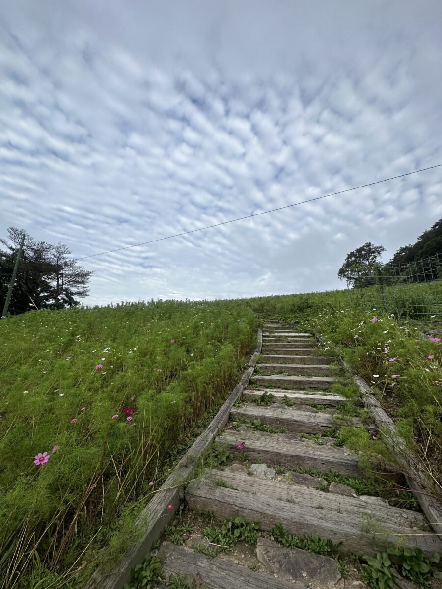 花園の遊歩道