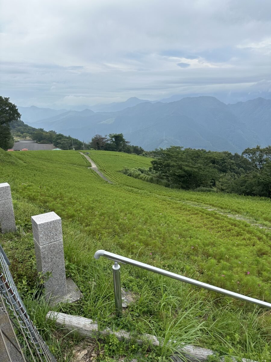 歩いてきた道のり