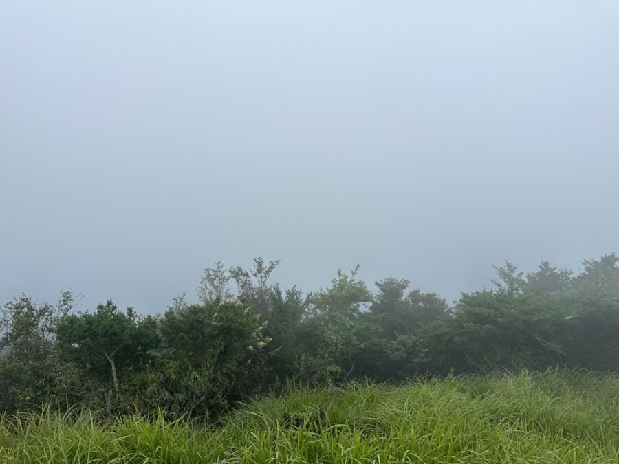 真っ白な雲の中の展望風景