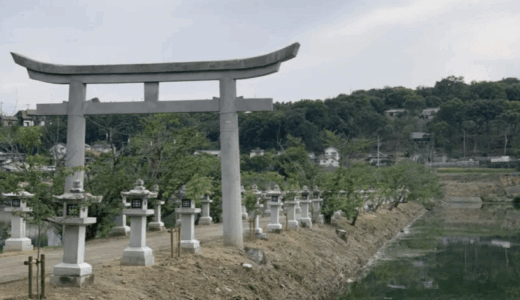 竜満池中心に続く遊歩道『竜桜公園』と『川東八幡神社』と『油山展望台』へ行ってきました！