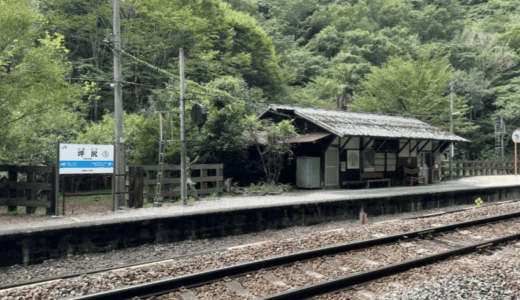 国内有数のスイッチバック秘境駅！徳島県三好市の「坪尻駅」訪問ッ！