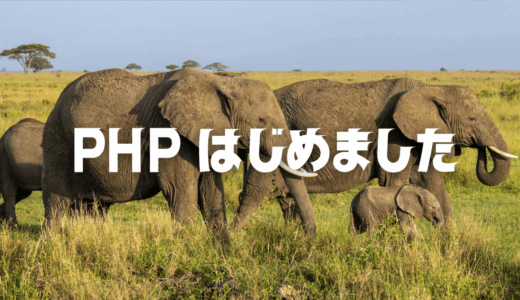 phpMyAdmin をインストール / Mac OS 10 4.2