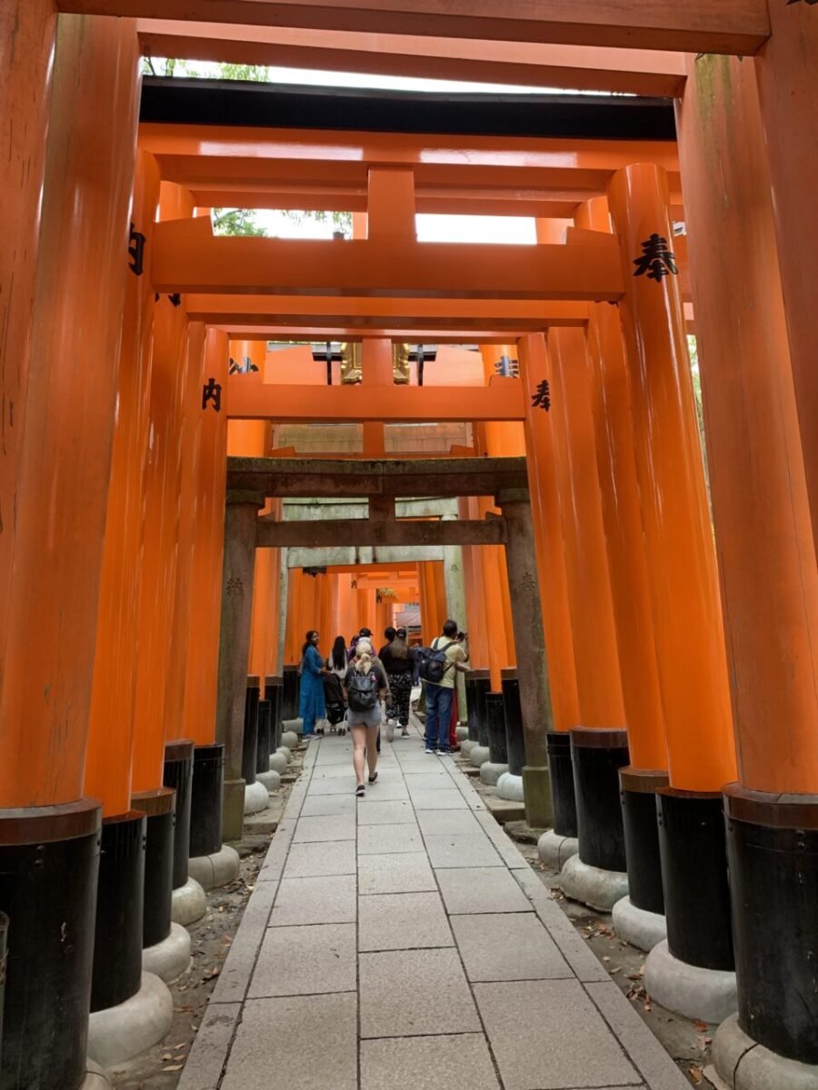連なる大きな鳥居