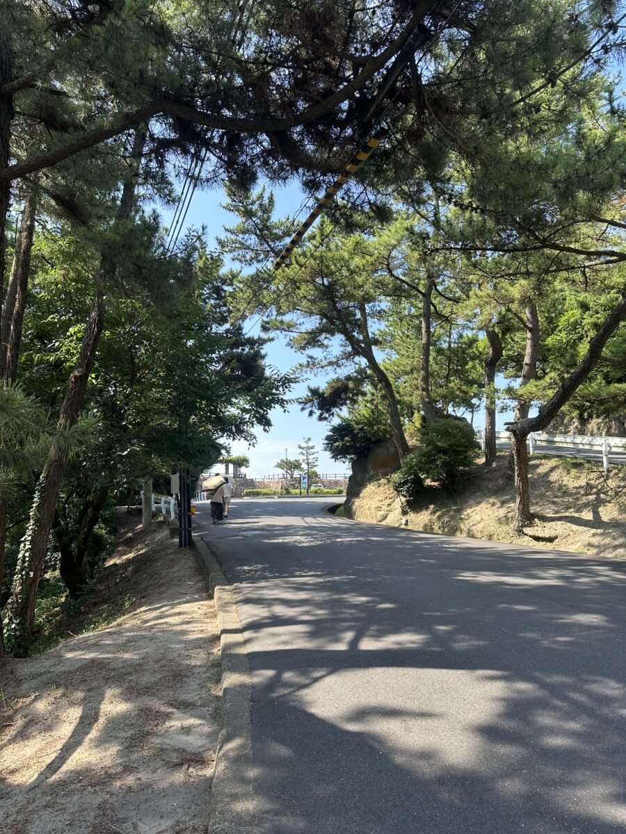 開けた広場
