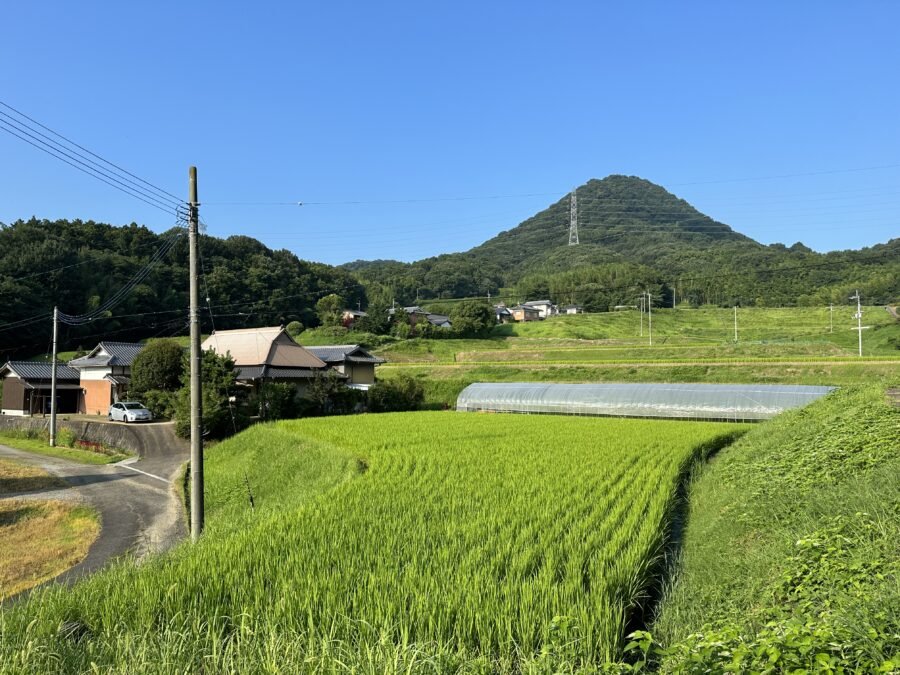 美しい棚田の風景