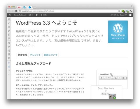 WordPress 3.3