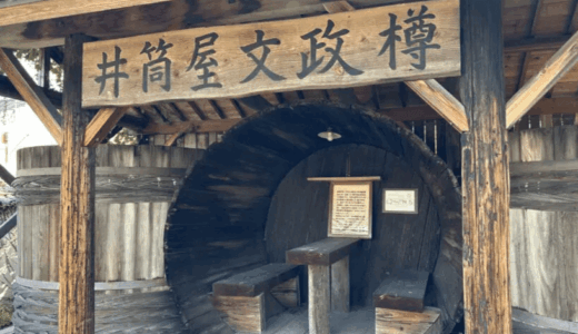 香川の保存木『井筒屋敷のホルトノキ』と『井筒屋文政樽』がある讃州井筒屋敷内『ホルトノキ広場』訪問ッ！