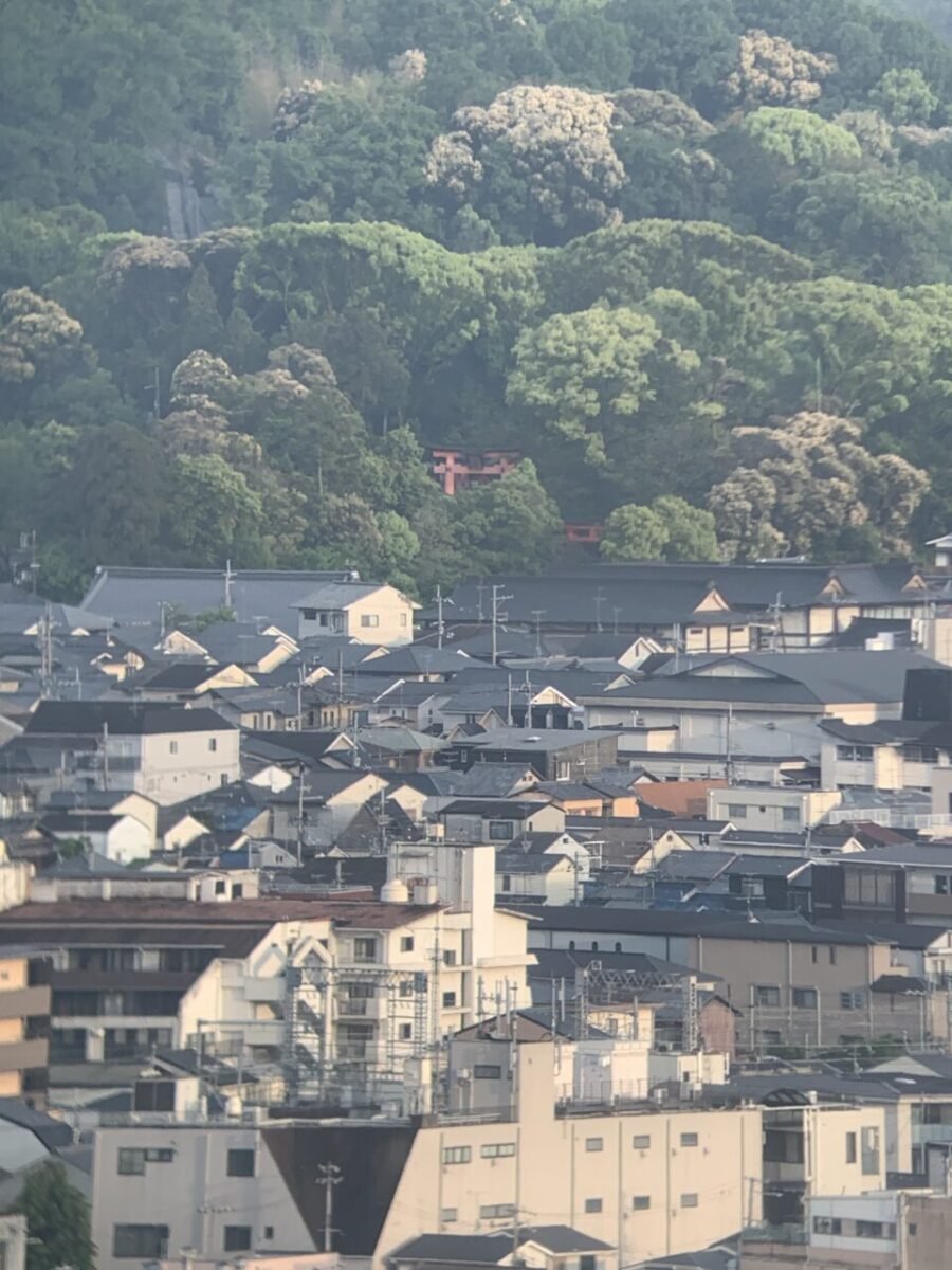 望遠鏡から見える伏見稲荷大社の鳥居
