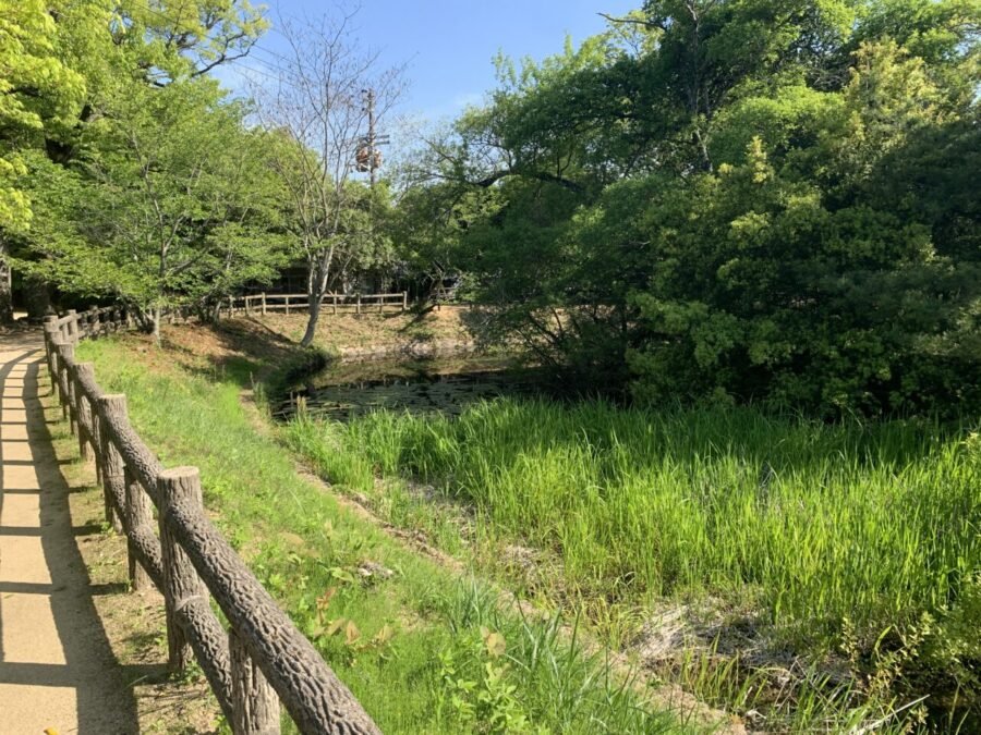草が生い茂る血の池1