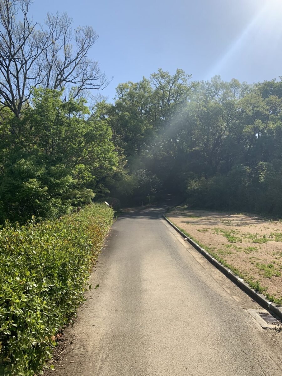 城門を目指す山道1