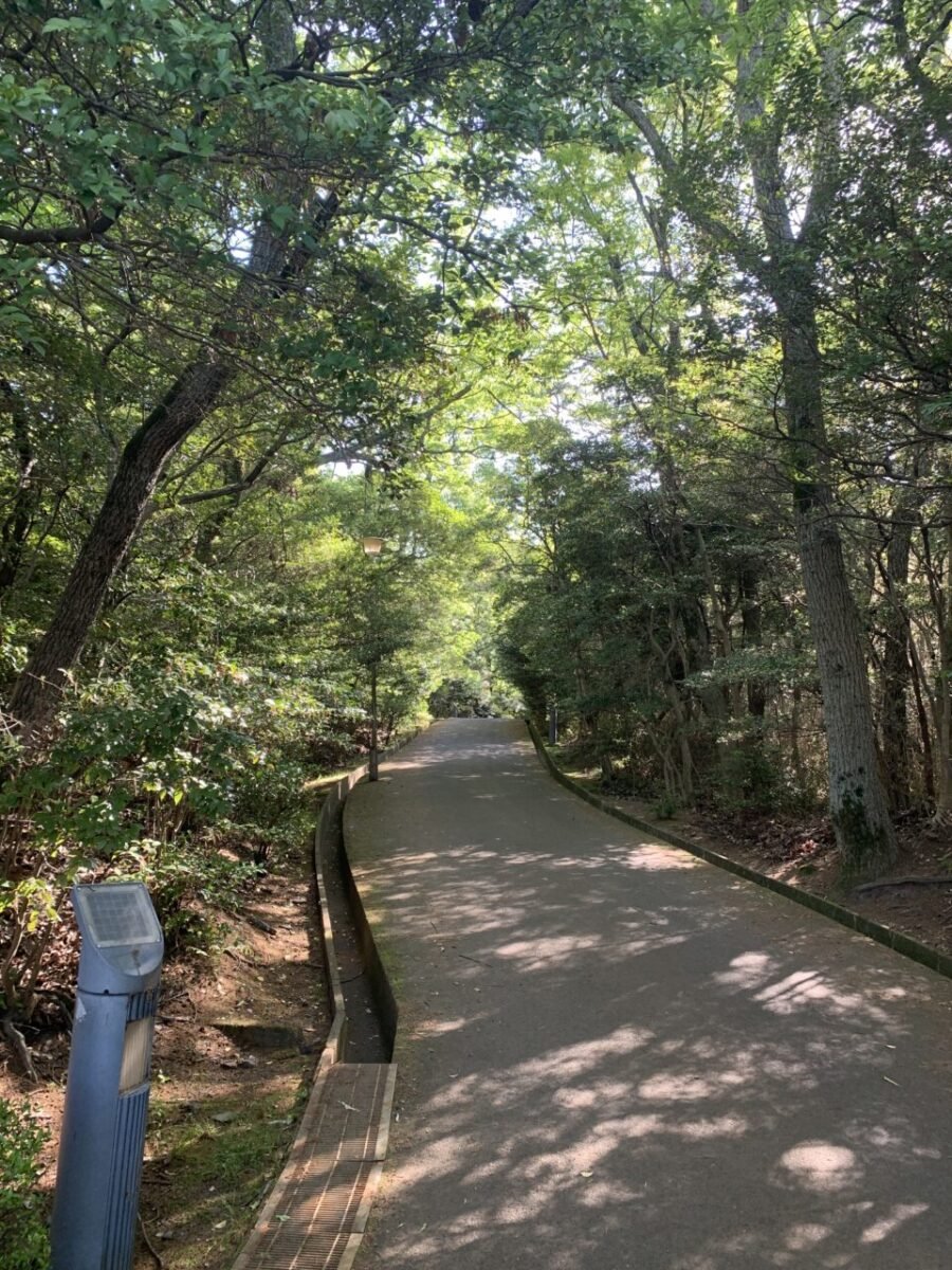 城門を目指す山道2