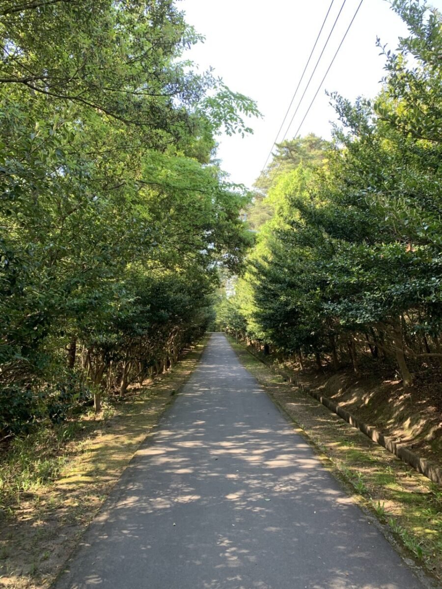 城門を目指す山道4