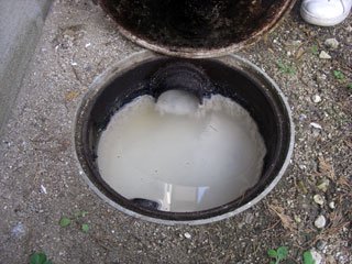 排水口の掃除