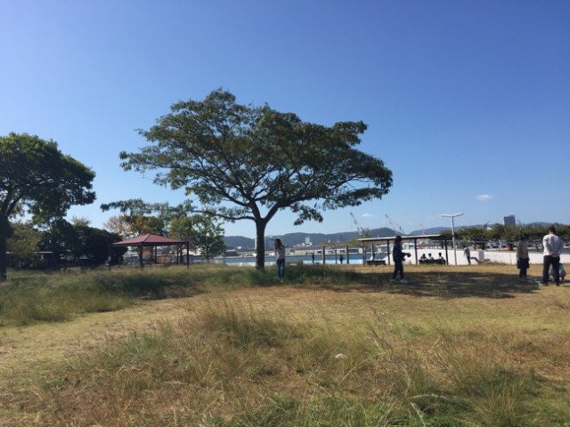 中央のフラット広場