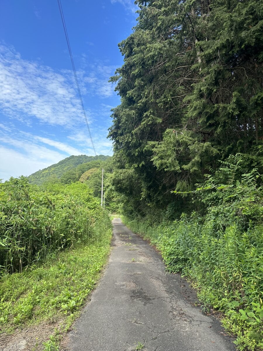 狭い山道