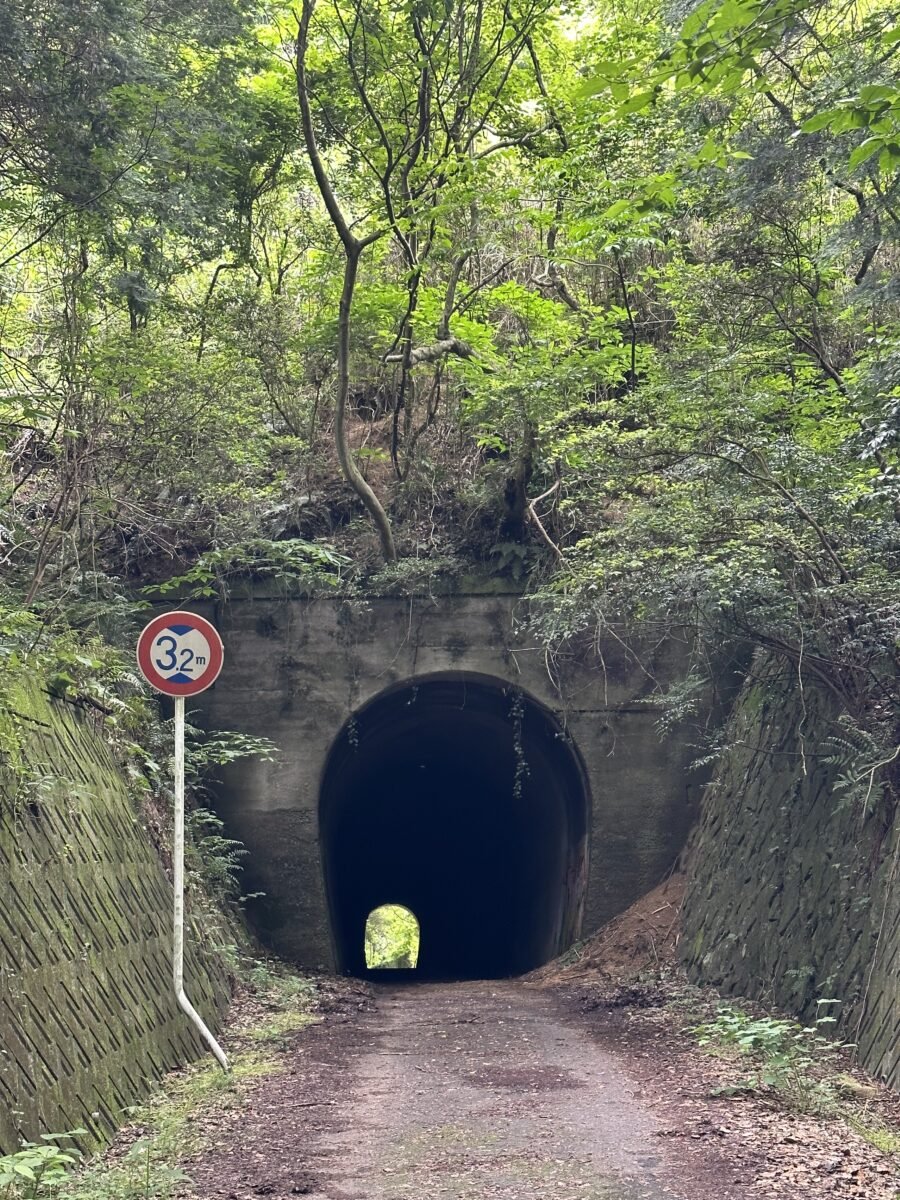 トンネル内部の様子