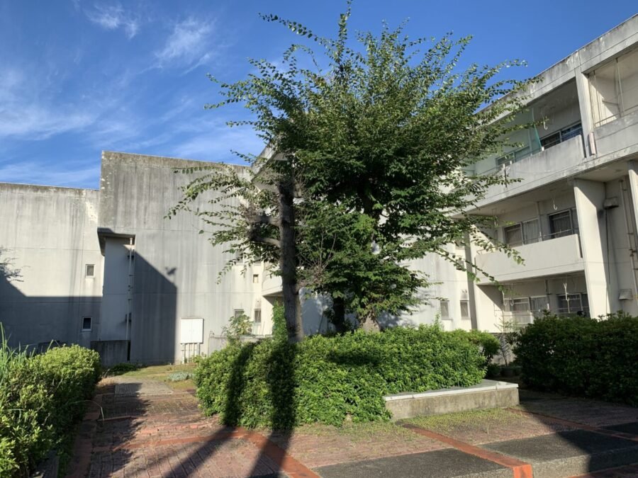 緑に囲まれた建物の外観