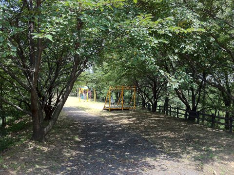 高山航空公園
