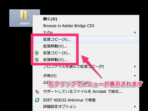 CopyExt