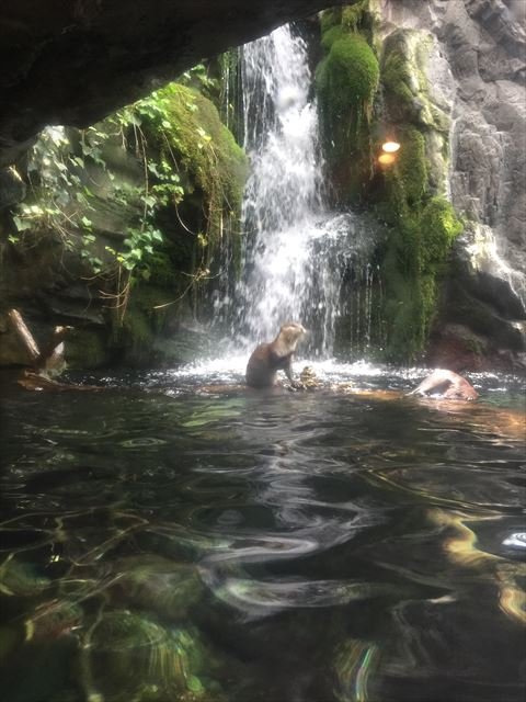 osaka-066