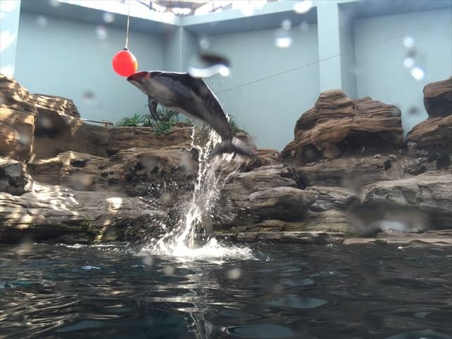 osaka-076
