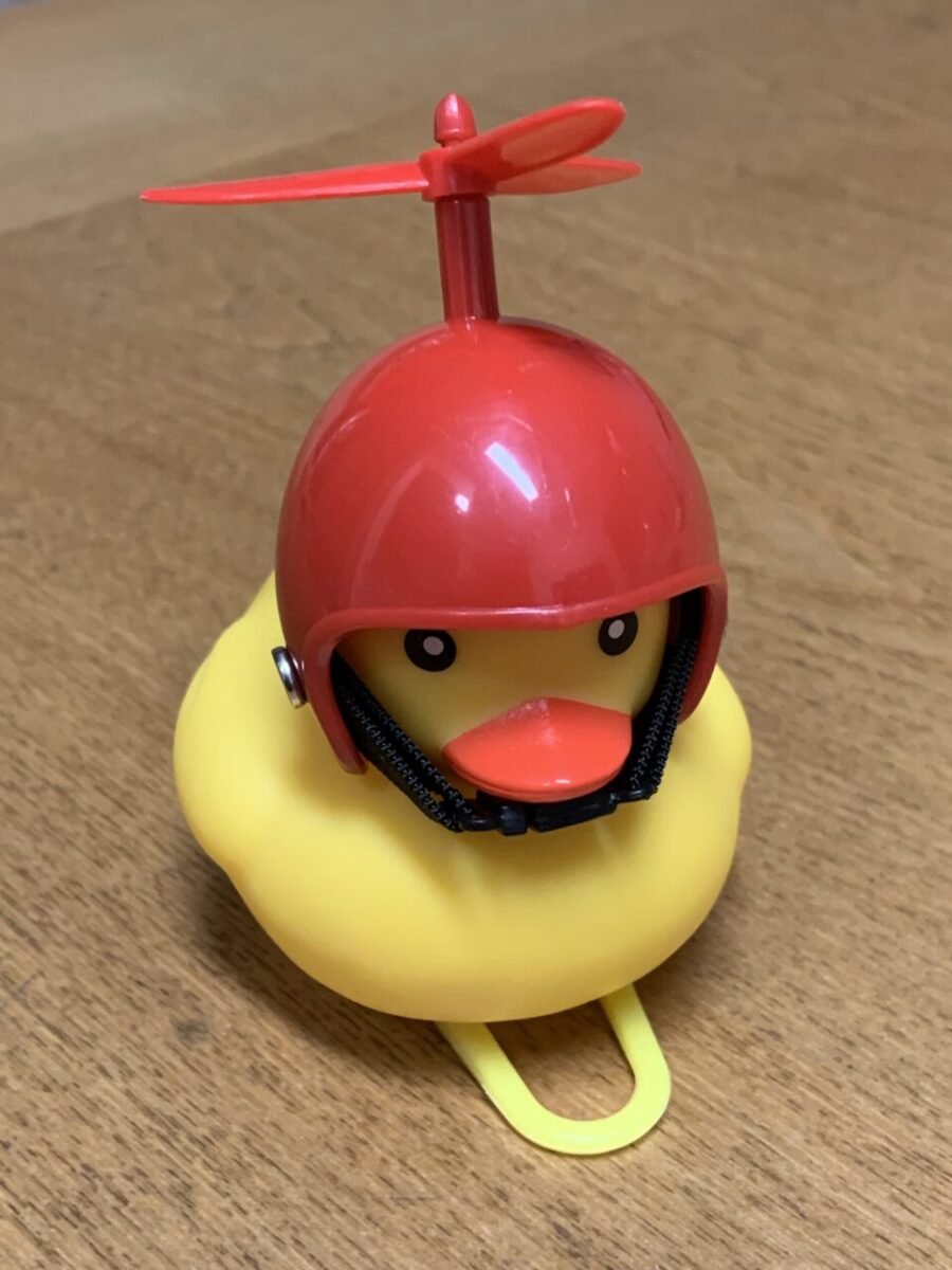 アヒル隊長