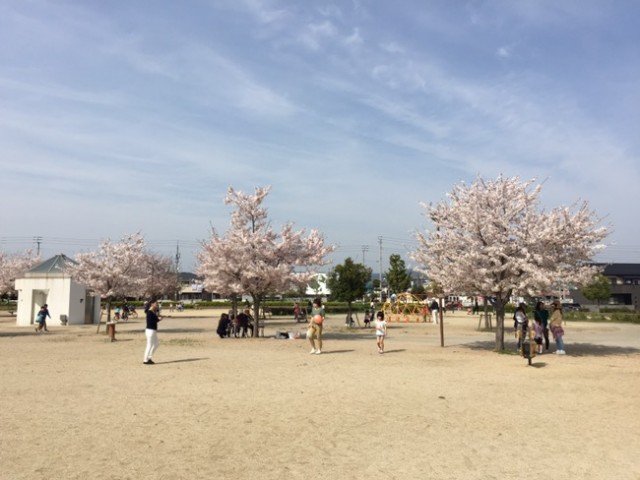 木太中央公園のトイレと景観