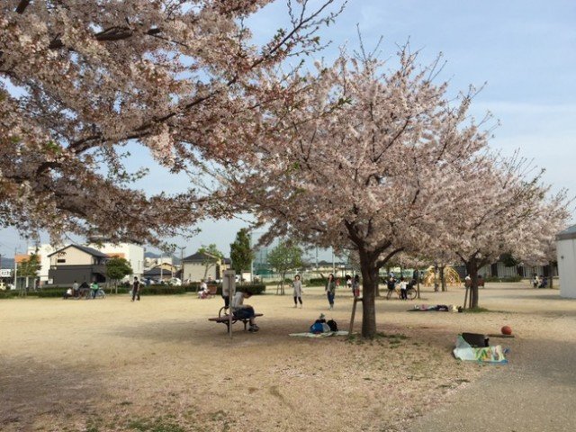 木太中央公園の駐車場