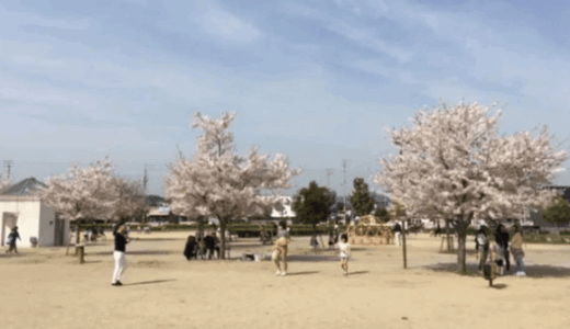 【高松市木太町】12台の駐車場争奪戦に勝て！遊具も桜もトイレも揃う隠れた神スポット「木太中央公園」を徹底解剖！