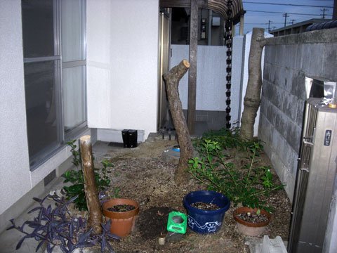 木を切った後