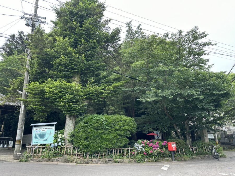 森の中の茶屋入口