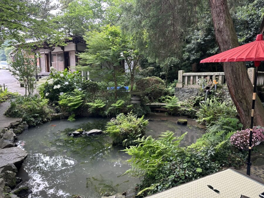 お座敷の向こうの池