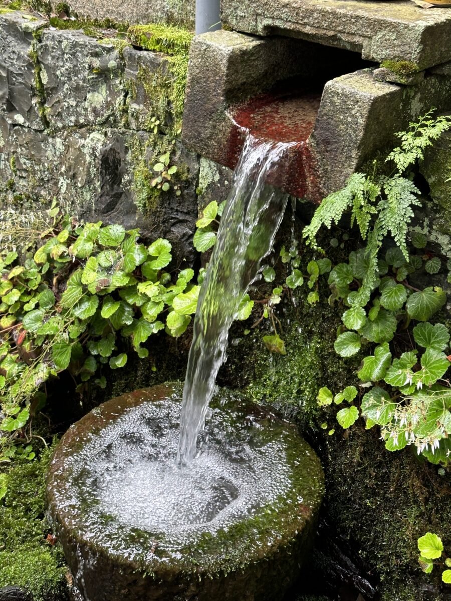 冷たそうな湧き水のアップ