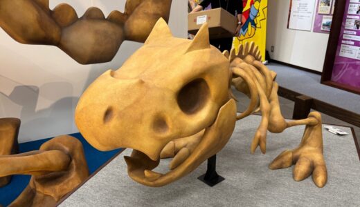大きなお友達も大満足！ポケモンの骨格が堪能できる「ポケモン化石博物館」訪問ッ！