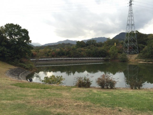 公園内の池