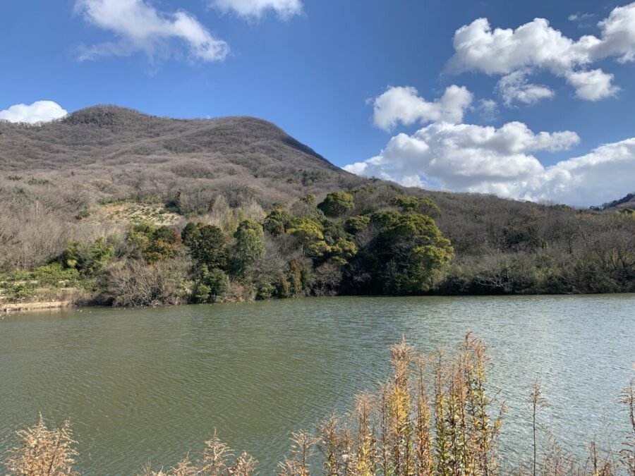 満水の池の風景