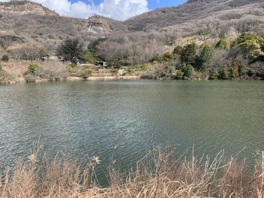 水没した池の景色